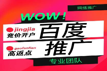 SEM投放策略优化案例分析