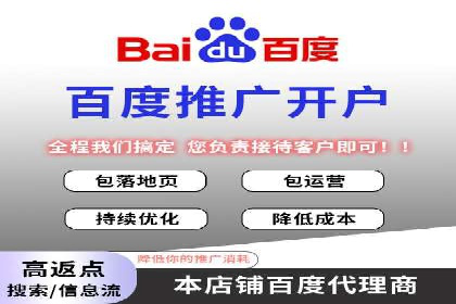优化SEM竞价策略：成功案例剖析